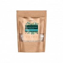 ByPlants Ледяной Гриб, 80 гр